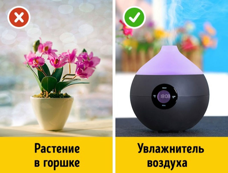 20371815-800-0-1482161990-1482161998-650-a5ed64acc3-1-1482241396