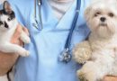 В Пинске проведут бесплатную вакцинацию собак и кошек