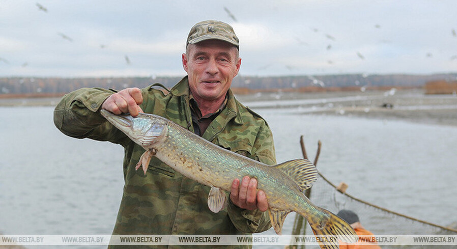 Запрет на лов щуки вводится с 1 марта