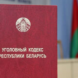 Телефонные мошенники за сутки похитили у жителей Брестской области почти Br16 тыс.