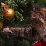2 января в Беларуси сделали выходным навсегда