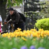 Матпомощь, Таиланд, опасная сирень и снова большие выходные: главные изменения мая