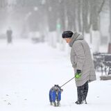 Повышение пенсий в Беларуси с 1 февраля 2024. В среднем на 10%