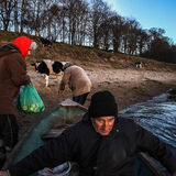 Остров молока: сказочная история от Сергея Гудилина о сакральном белорусском продукте