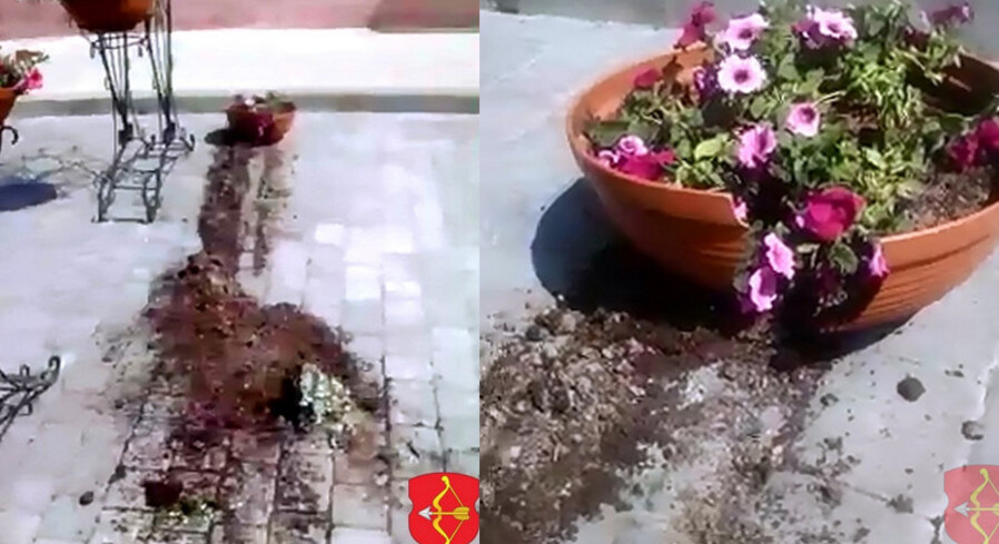 На набережной Пинска неизвестные повредили саженцы лип и разбили декоративную цветочную вазу