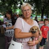 Пинские защитники животных ищут волонтёров
