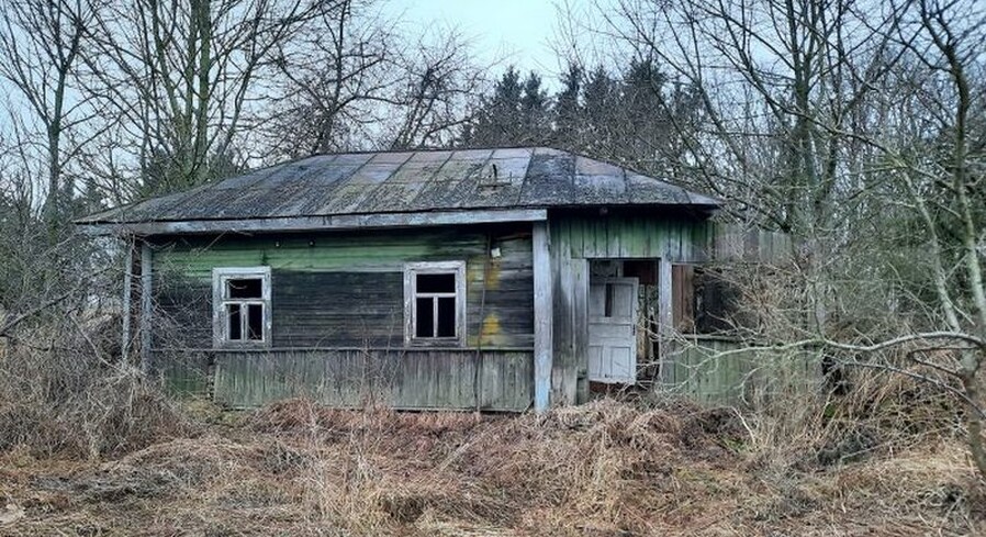 Дом на селе можно будет купить за 1 базовую