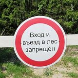 В Пинском районе введён запрет на посещение лесов