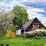 Как избавиться от клещей на даче