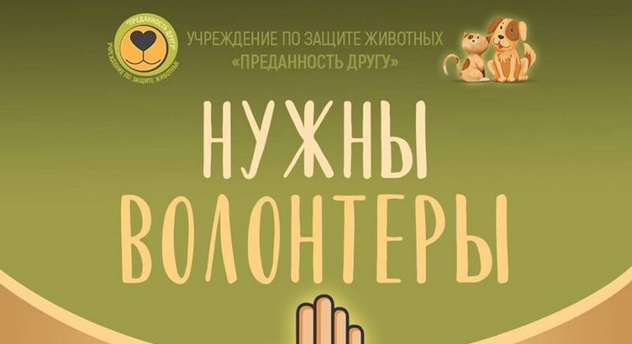 В Пинске зоозащитникам нужны волонтеры