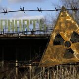 Животные-мутанты и рыжий лес: 10 вопросов эксперту о дикой природе Зоны