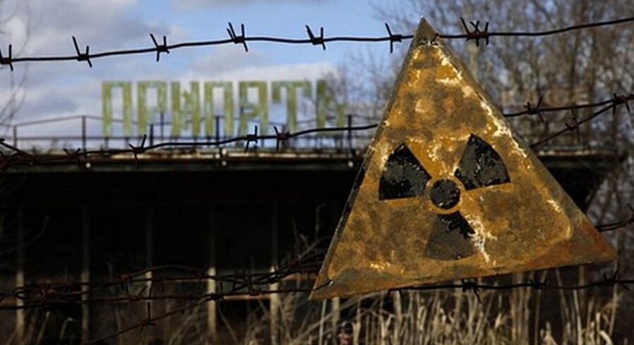 Животные-мутанты и рыжий лес: 10 вопросов эксперту о дикой природе Зоны