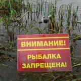 Нерестовый запрет 2023 в Беларуси