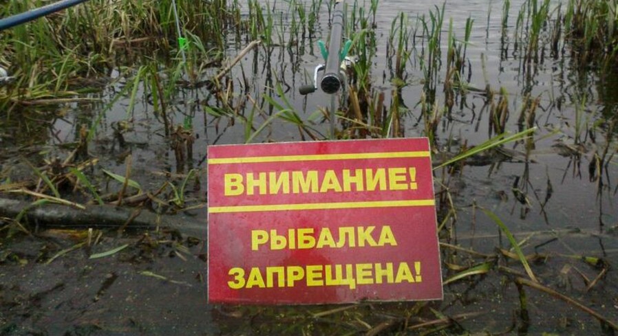 Нерестовый запрет 2023 в Беларуси