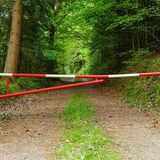 Запрет на посещение лесов введен в Пинском районе