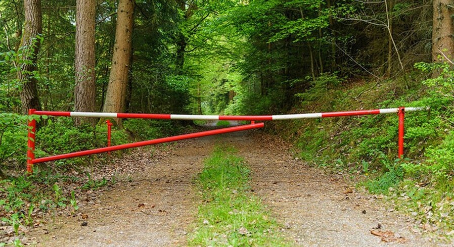 Запрет на посещение лесов введен в Пинском районе