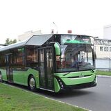 Автобус МАЗ-303 взял серебро в конкурсе BCVRus-2020