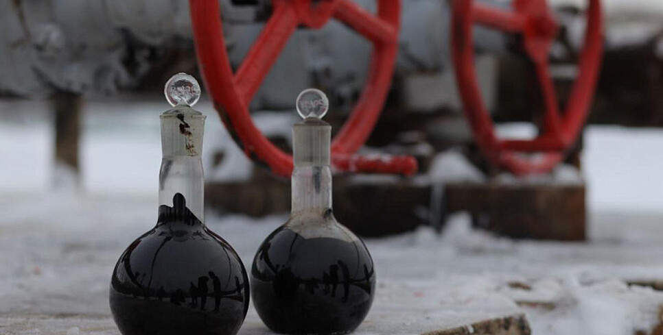 «Белоруснефть» нашла миллион тонн черного золота на Гомельщине
