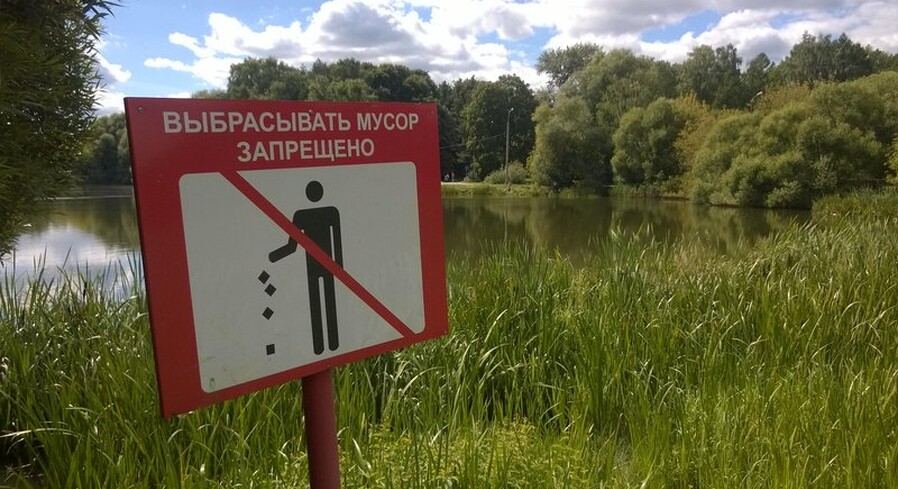Пинская межрайонная инспекция охраны животного и растительного мира напоминает о правилах поведения в водоохранных зонах и лесах
