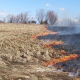 Запрет на выжигание сухой растительности