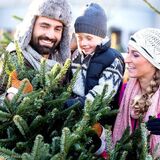 Продажа новогодних елок в Пинске стартует 18 декабря