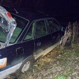Браконьер застрелил косулю в Пинском районе