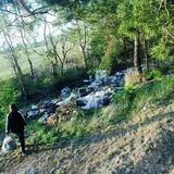 В Пинском районе открыли фотоохоту на вредителей природы