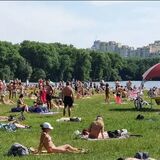 Лето 2021 года признали одним из самых жарких в Беларуси