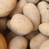 Обеспечены ли белорусы картофелем?