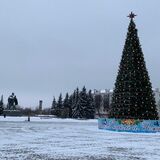Где в Пинске пройдут новогодние ярмарки и елочные базары?