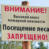 21 августа введен запрет на посещение лесов в Пинском районе
