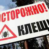 Клещи проснулись!