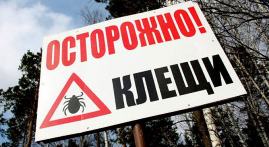 Клещи проснулись!