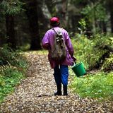 Как в лес собраться, чтобы не потеряться