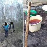 В Пинском районе задержали двух браконьеров