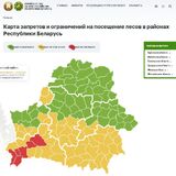 Ограничение на посещение лесов вновь введено в Пинском районе