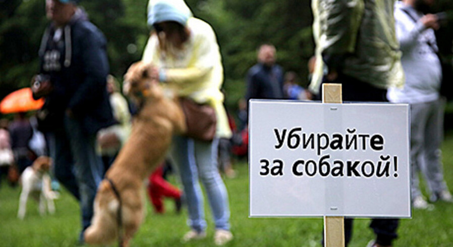 Какой штраф, если не убирать за своей собакой