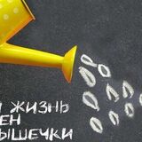 Крышечки вместо денег. Необычная благотворительная акция в Беларуси!