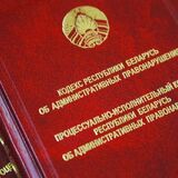 Шумные соседи, контактные зоопарки, мусор в лесу. Какие поправки предлагается внести в КоАП Беларуси