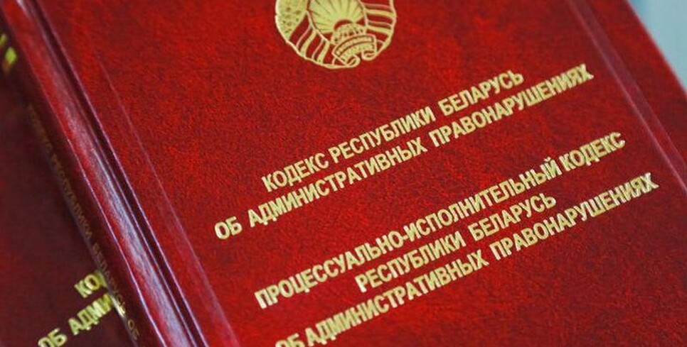 Шумные соседи, контактные зоопарки, мусор в лесу. Какие поправки предлагается внести в КоАП Беларуси