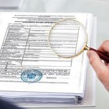 Получение выписки из данных учета налоговых органов об исчисленных и уплаченных суммах налогов, сборов (пошлин), пеней индивидуальными предпринимателями