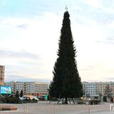 В Витебске устанавливают самую большую ёлку в Европе