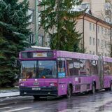 На один день проезд в общественном транспорте Пинска станет бесплатным