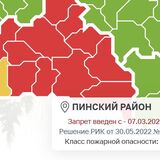 В Пинском районе ввели первое в 2025-м ограничение на посещения лесов