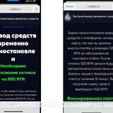 Сыграв на бирже, жительница Пинска потеряла более 4000 рублей и приобрела богатый опыт