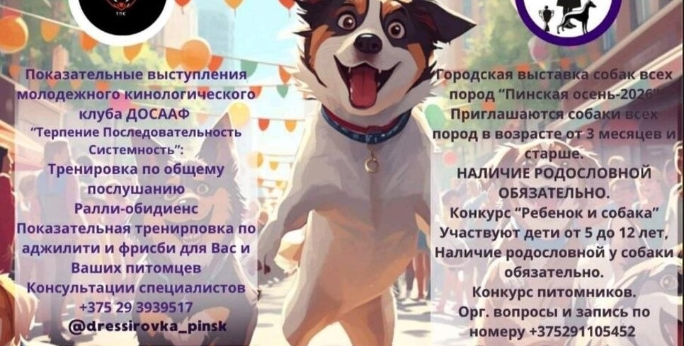 В Пинске пройдёт кинологический праздник «Верные друзья»