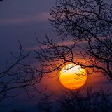 20 марта — день весеннего равноденствия: что это значит и чего ждать от погоды