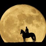 Полная Луна максимально приблизится к Земле ночью 5 ноября
