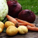 Государство установило лимиты для цен на картошку и капусту
