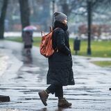 Март 2026 года в Беларуси: самый теплый за всю историю наблюдений